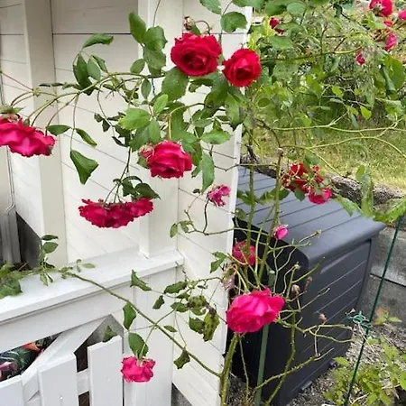Large With A Lovely Garden, Perfect For Families! * Берген