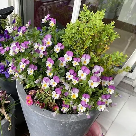 Large With A Lovely Garden, Perfect For Families! Берген