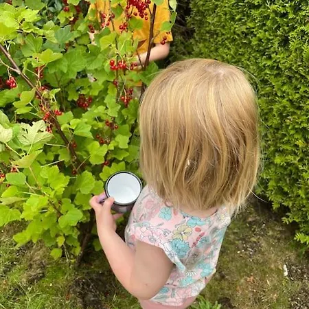 Large With A Lovely Garden, Perfect For Families! Вілла Берген